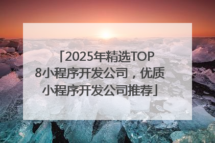 2025年精选TOP8小程序开发公司，优质小程序开发公司推荐