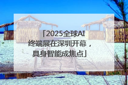2025全球AI终端展在深圳开幕，具身智能成焦点