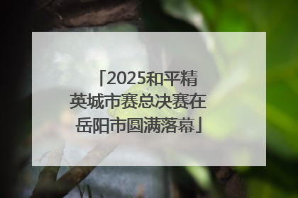 2025和平精英城市赛总决赛在岳阳市圆满落幕