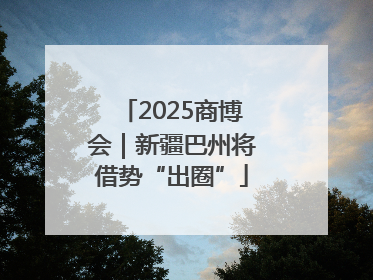 2025商博会｜新疆巴州将借势“出圈”