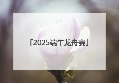 2025端午龙舟赛
