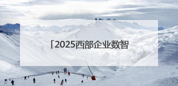 2025西部企业数智发展大会在成都召开