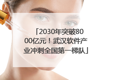 2030年突破8000亿元！武汉软件产业冲刺全国第一梯队