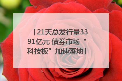 21天总发行量3391亿元 债券市场“科技板”加速落地