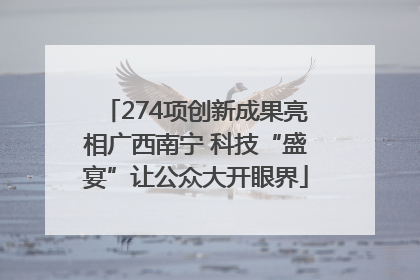 274项创新成果亮相广西南宁 科技“盛宴”让公众大开眼界