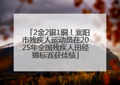 2金2银1铜！襄阳市残疾人运动员在2025年全国残疾人田径锦标赛获佳绩