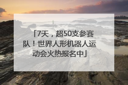 7天，超50支参赛队！世界人形机器人运动会火热报名中