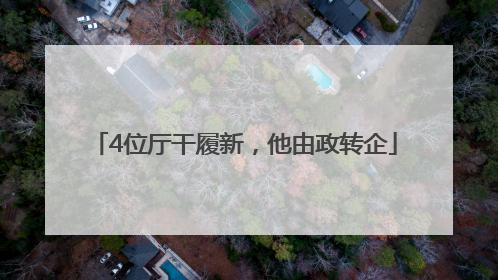 4位厅干履新，他由政转企