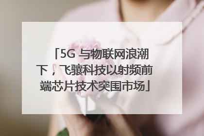 5G 与物联网浪潮下，飞骧科技以射频前端芯片技术突围市场