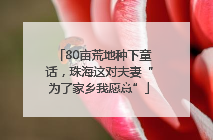 80亩荒地种下童话，珠海这对夫妻“为了家乡我愿意”