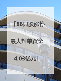 86只股涨停 最大封单资金4.03亿元