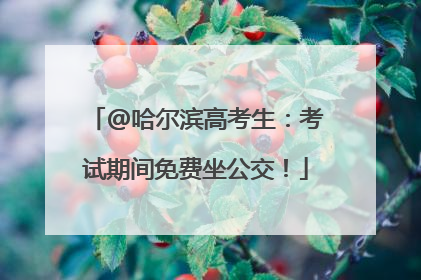 @哈尔滨高考生：考试期间免费坐公交！