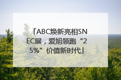 ABC焕新亮相SNEC展，爱旭领跑“25%”价值新时代