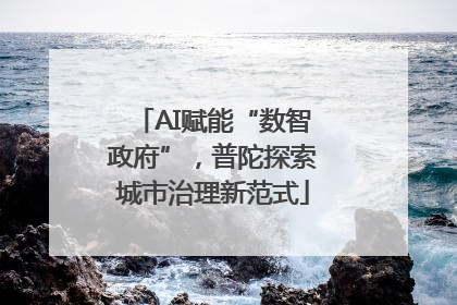 AI赋能“数智政府”，普陀探索城市治理新范式