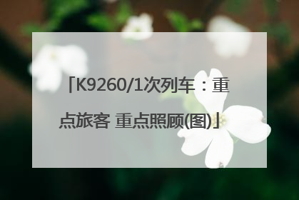 K9260/1次列车：重点旅客 重点照顾(图)