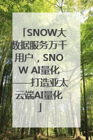 SNOW大数据服务万千用户，SNOW AI量化——打造亚太云端AI量化